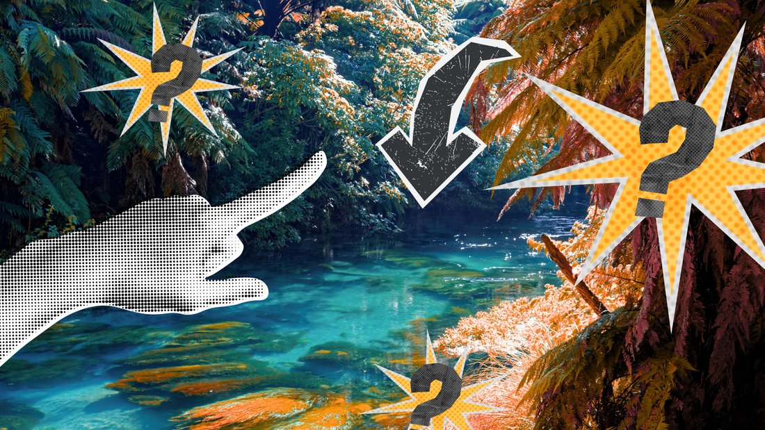A stylised photo of a new zealand river with blue water surrounded by trees. Graphics of a hand pointing and question marks imposed on it.