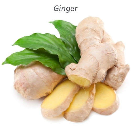 Ginger slices with white background.