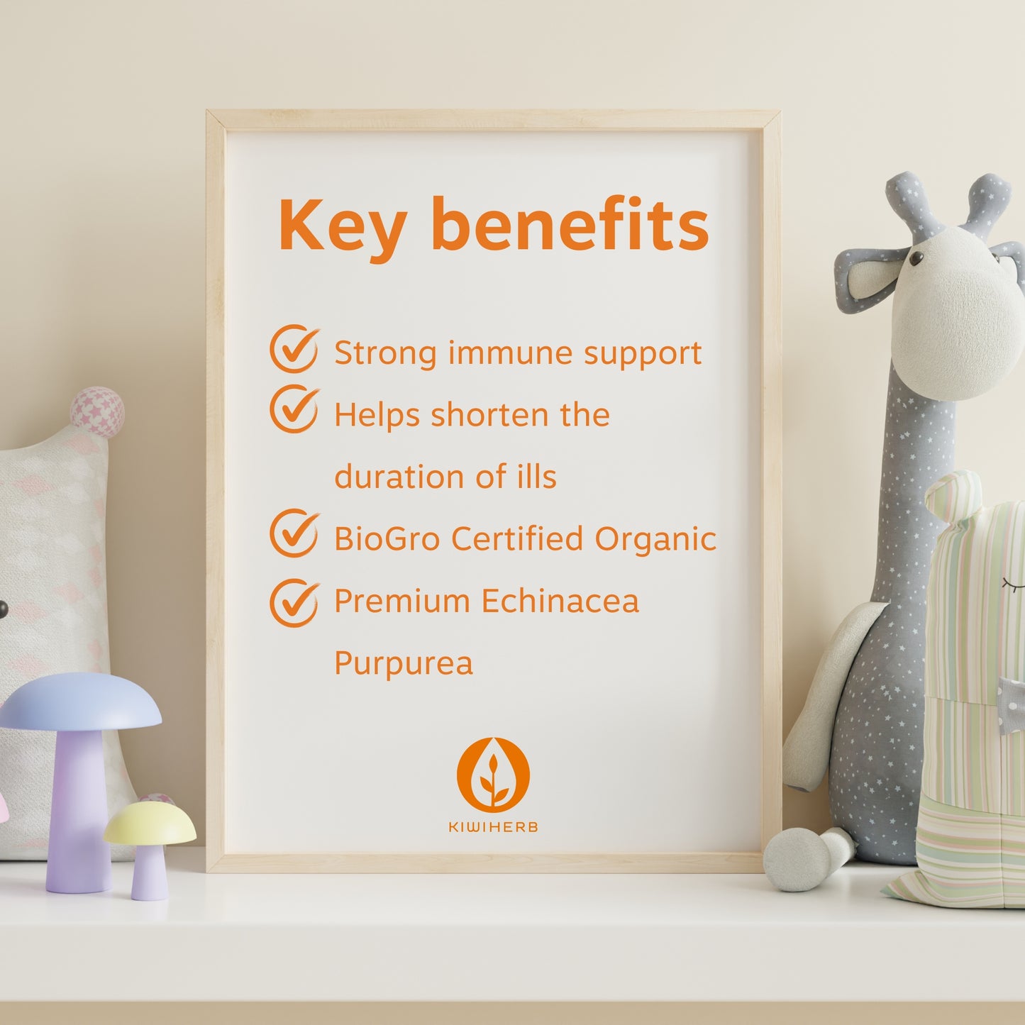 A photo frame on a children's desk showing the key benefits of Children's Organic Echinature.