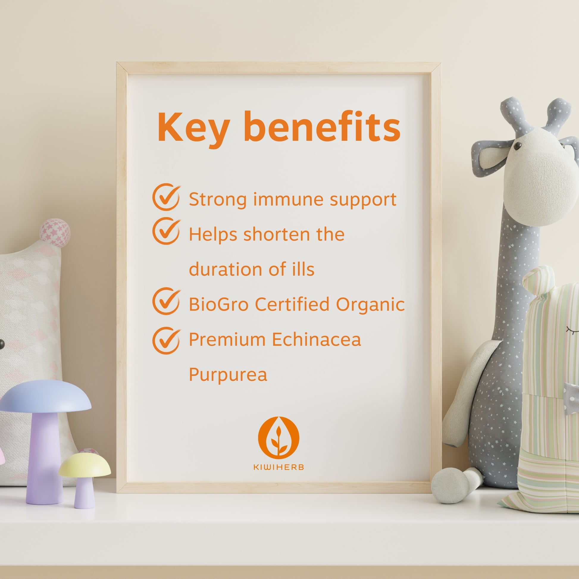 A photo frame on a children's desk showing the key benefits of Children's Organic Echinature. 