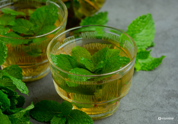 Supporting your digestion - Kiwiherb