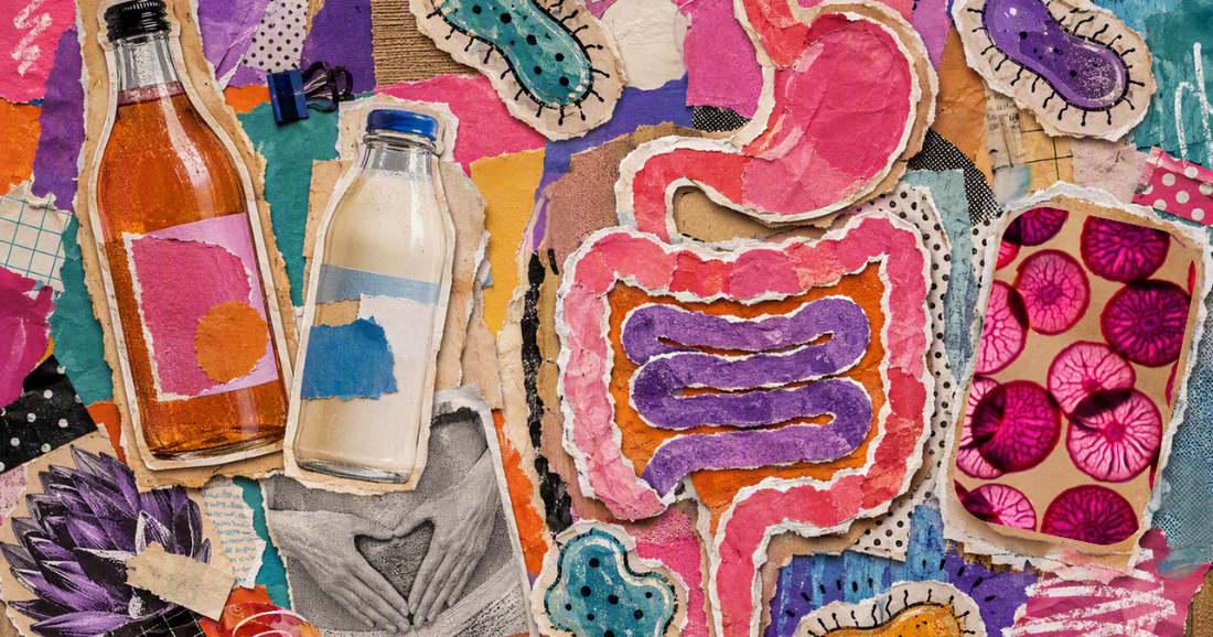 Exploring the Benefits of Probiotic Drinks