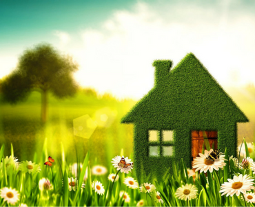 Green Spring Clean - Kiwiherb