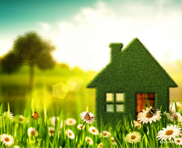 Green Spring Clean - Kiwiherb