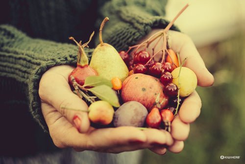 How to keep healthy this autumn - Kiwiherb