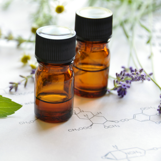 The journey from idea to shelf - Kiwiherb