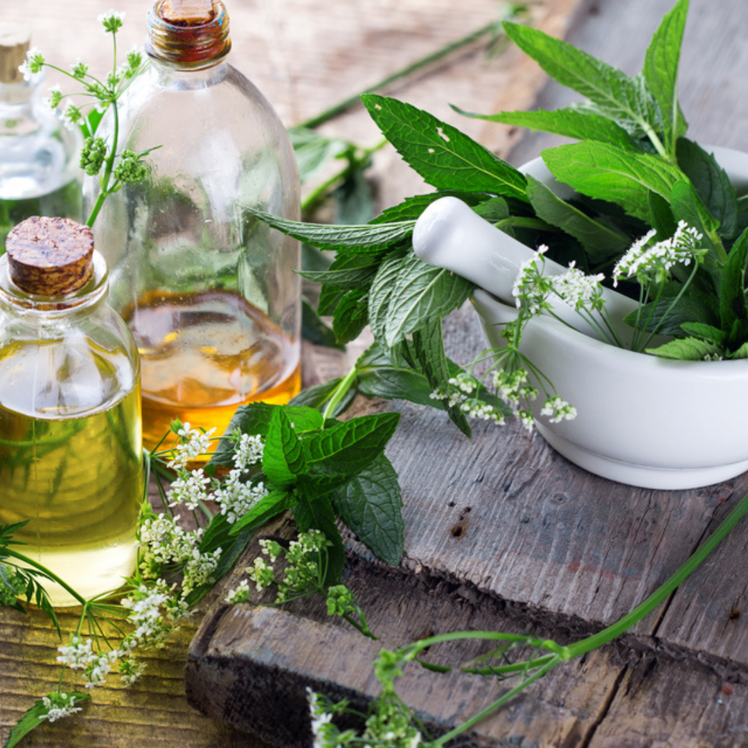 What is a Naturopath or Medical Herbalist?