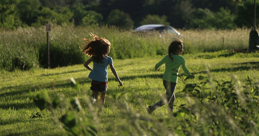 Herbal Approaches to ADHD in Children and Adults - Kiwiherb