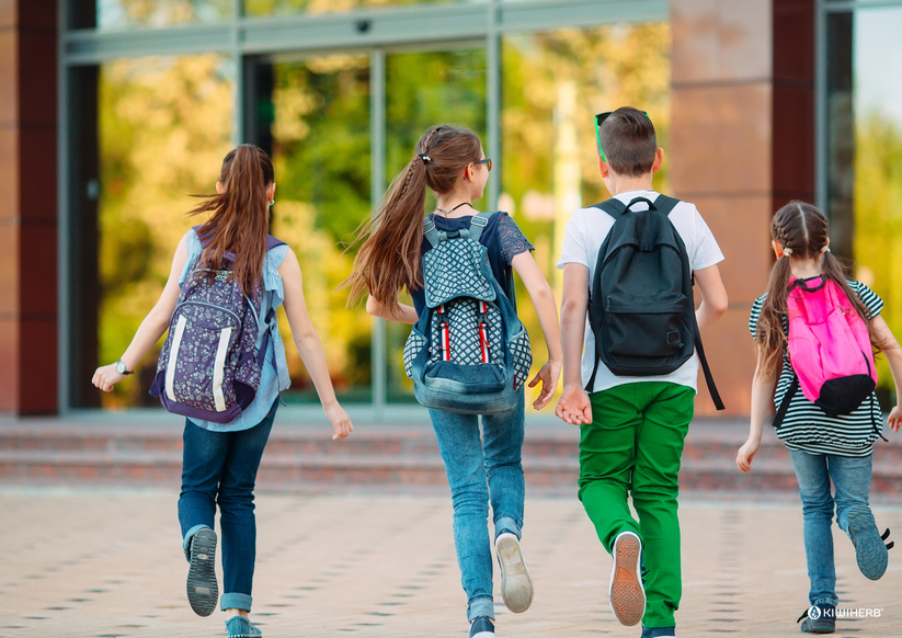 5 Back to School Survival Tips for Parents and Kids - Kiwiherb