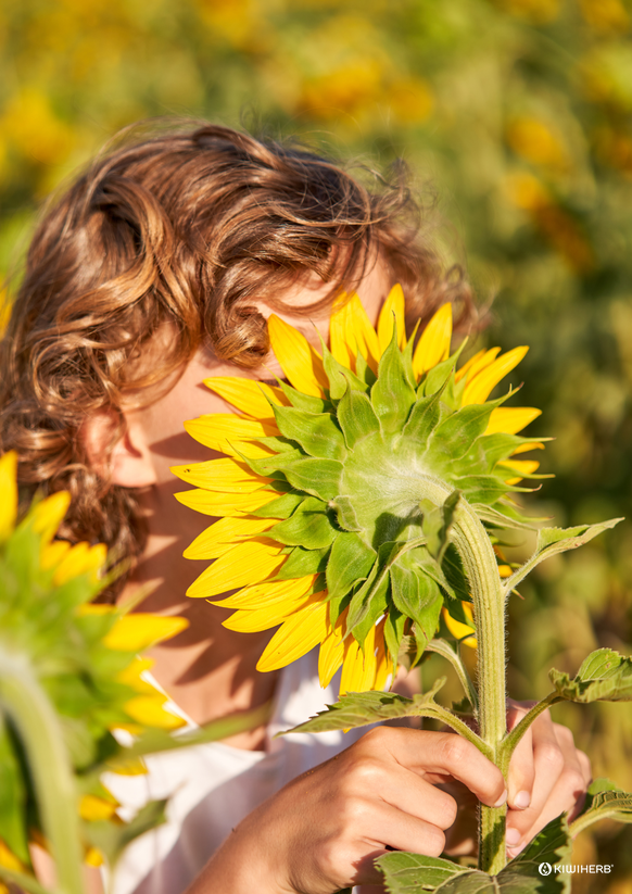 How to shake off blocked and stuffy noses - Kiwiherb