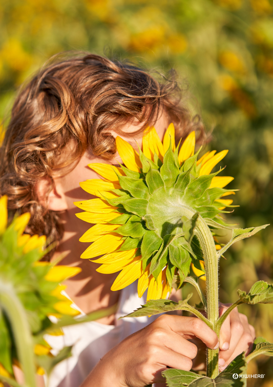 How to shake off blocked and stuffy noses - Kiwiherb