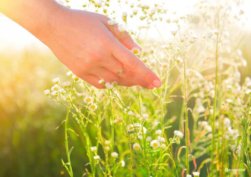 Caring for Skin During Safe Hygiene Practices - Kiwiherb