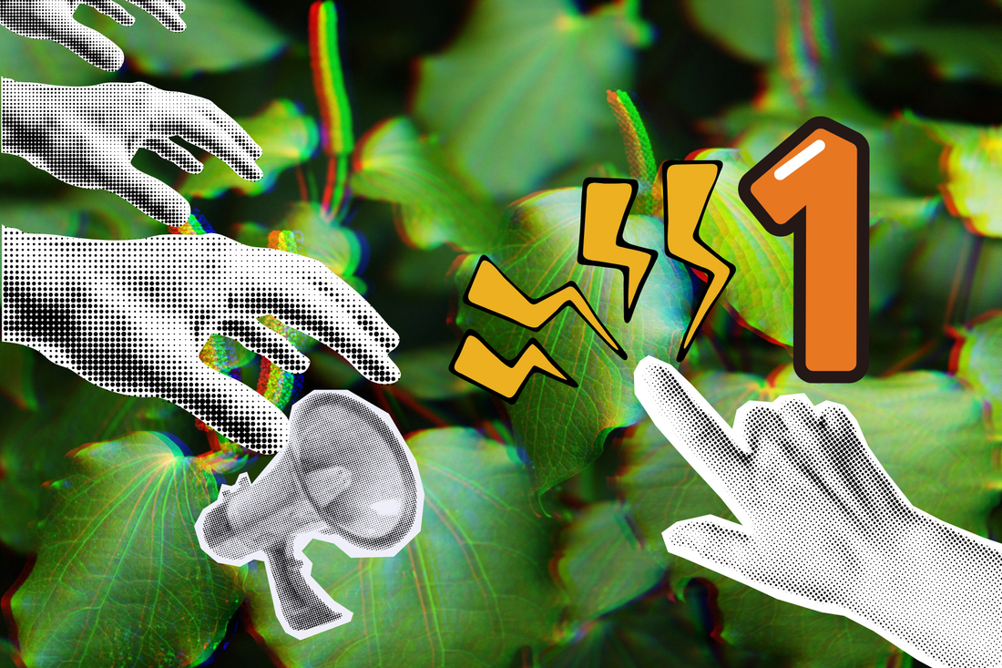 kawakawa background with stylised low fi hands picking the leaves, superimposed number 1