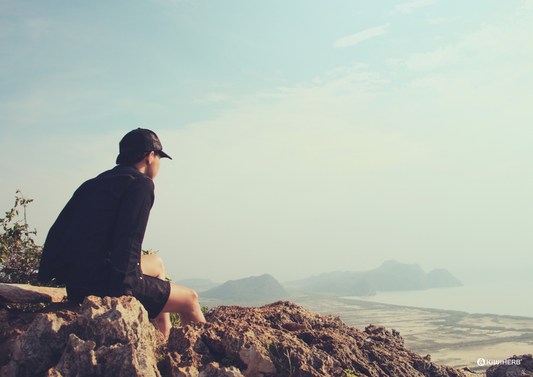 Supporting Men's Health - Kiwiherb