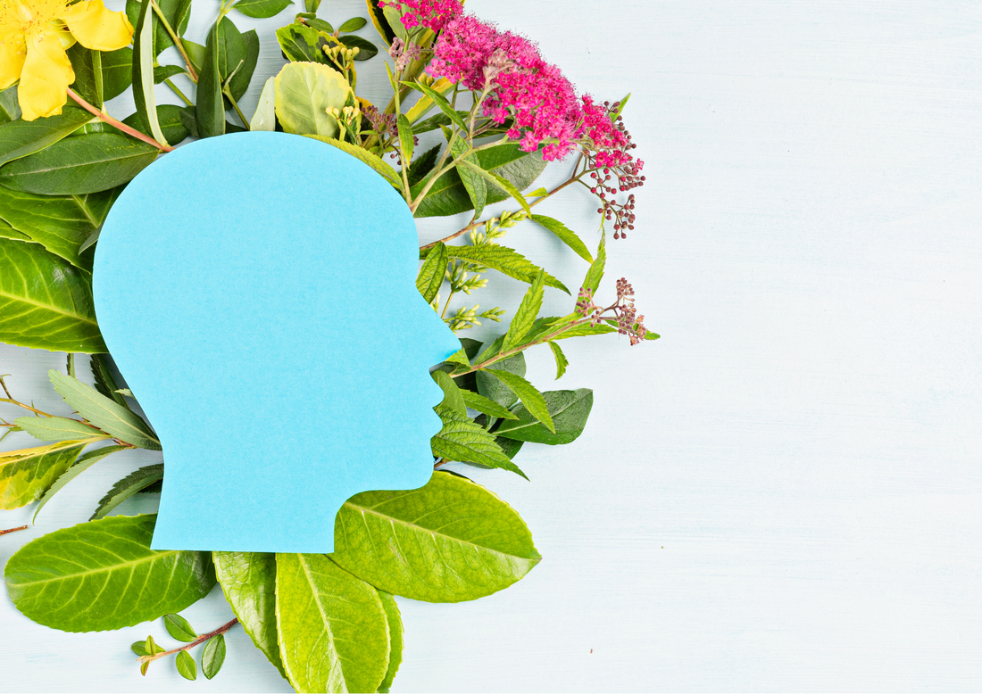 Four easy ways to boost mental energy and focus - Kiwiherb