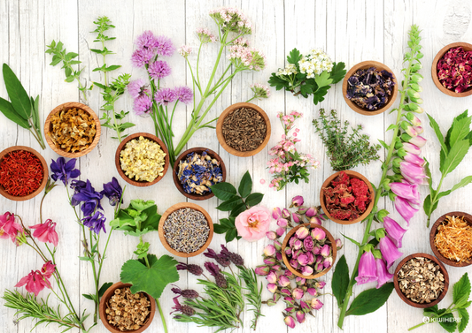 The complete benefits of naturopathy - Kiwiherb