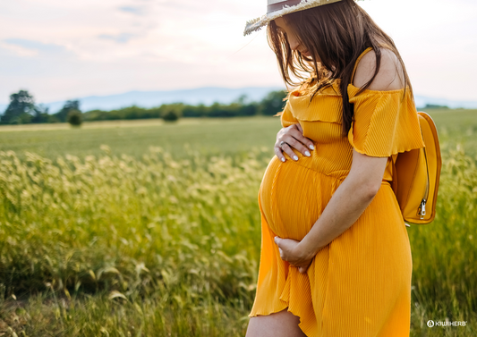 Pregnancy and Breastfeeding - Kiwiherb