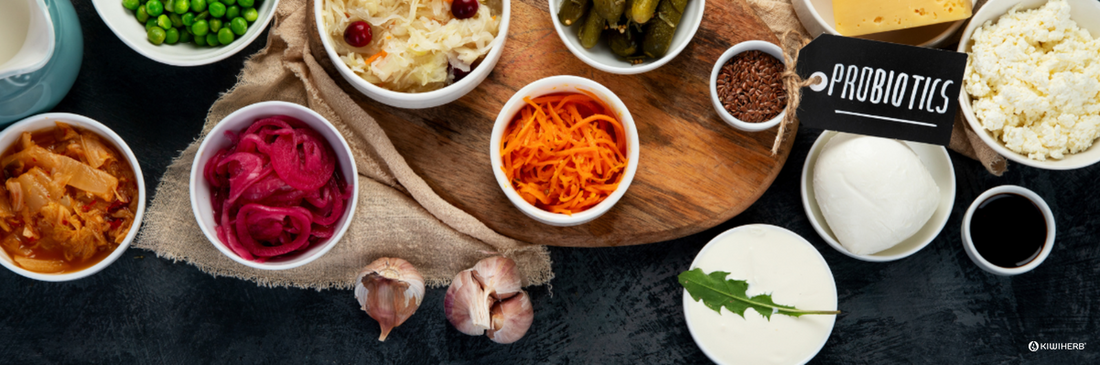 Examples of Probiotic Foods and the Prebiotic Difference