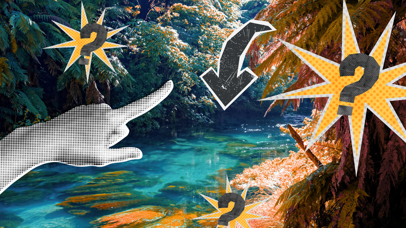 A stylised photo of a new zealand river with blue water surrounded by trees. Graphics of a hand pointing and question marks imposed on it.