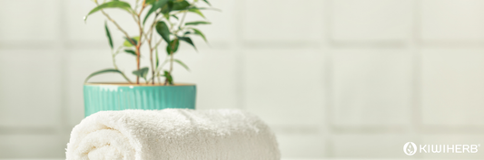 Understanding the Common Constipation Symptoms and Signs