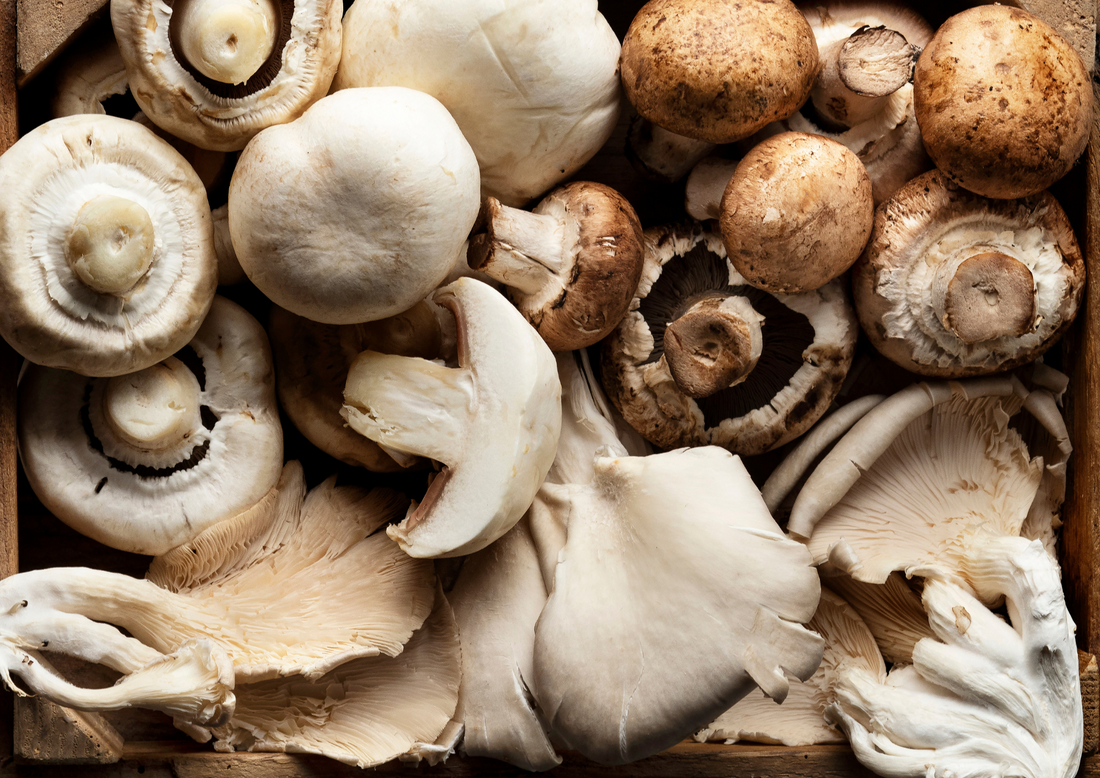 Vitamin D - Kiwiherb