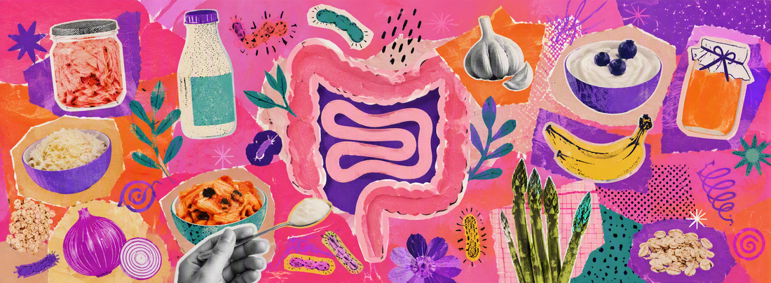 Exploring Pre and Probiotics NZ: A Guide