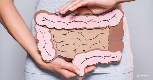 Understanding Diverticular Disease NZ: A Guide