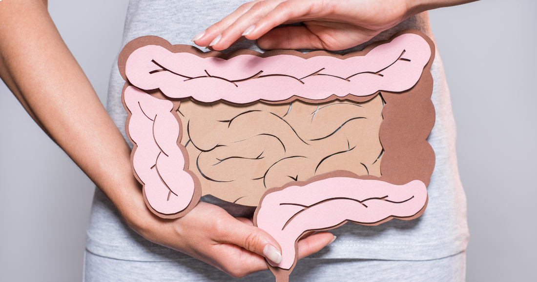 Understanding Diverticular Disease NZ: A Guide