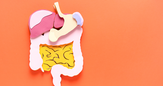 Noisy Gut: Causes, When to Worry, and How to Calm It